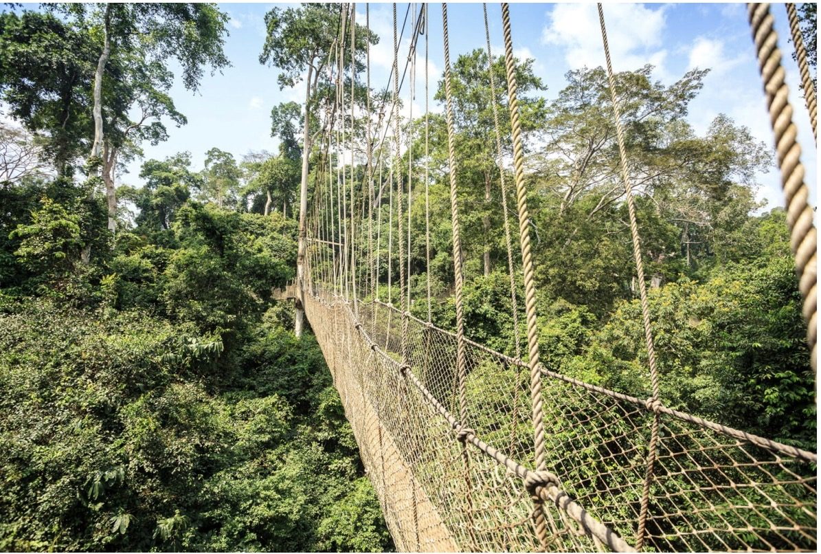 Kakum Canopy Walkway